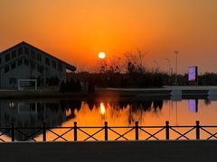 -盐城丹顶鹤湿地生态旅游区
