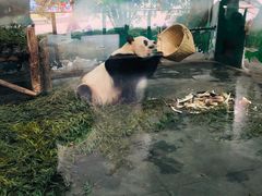 -无锡动物园·太湖欢乐园