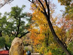 -北京西山国家森林公园