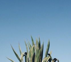 -FC·fashion creativity