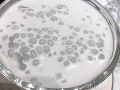 椰浆西米露-关夫人餐厅(阳光广场店)