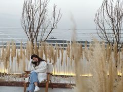 -Blue Concept Cafe&Farm·關於藍