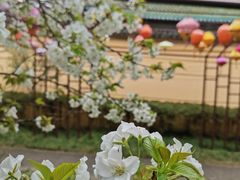 -无锡梅园公园