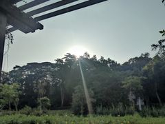 -广西壮族自治区药用植物园