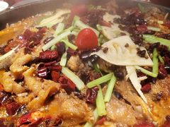 -老板恋上鱼(印象城店)