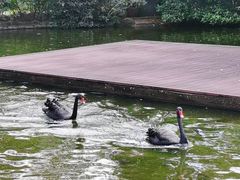 -海南热带野生动植物园