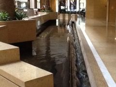 iphone_upload_pic-玫瑰园西餐厅