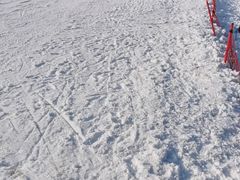 -秦皇古道滑雪场
