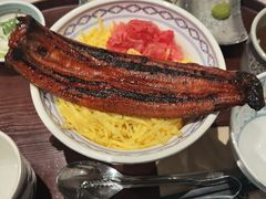-新世界百货(明洞总店)