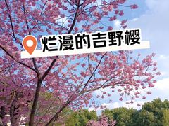-九龙潭景区
