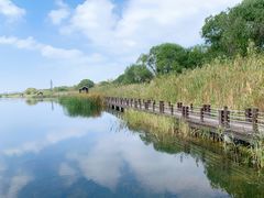 -苏州太湖湖滨国家湿地公园