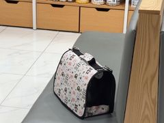 -艾贝尔宠物医院·24H转诊中心·肿瘤猫专科(江宁双龙店)