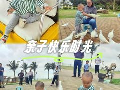 -野狸岛