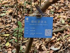 -中山市树木园