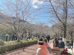 -大连植物园