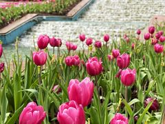 -沙河粉村·国家非遗传承(云台店)