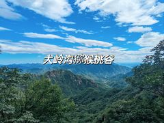 -大岭沟猕猴桃谷风景区