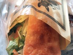 素火烧-王记驴火河间驴肉火烧(长青店)