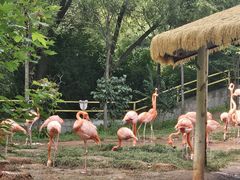 -哈尔滨北方森林动物园