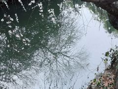 -北寺塔