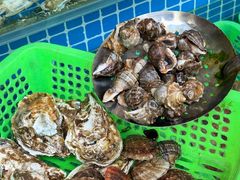 -富临港蒸汽海鲜(栈桥店)