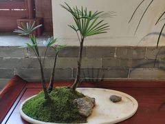 -迎泽公园