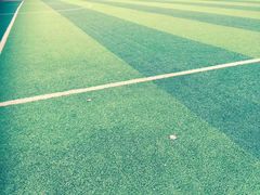 -北京市海淀区翠微小学