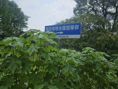 -苏州太湖国家湿地公园