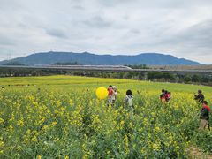 -光明小镇欢乐田园