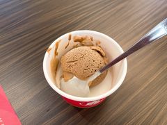 冰淇淋-仙隐小鹿中华料理(南宁万象城店)