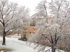 -东北大菜馆(延长路店)