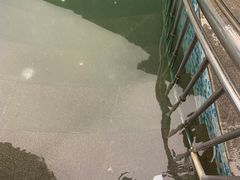 -东方之珠洗浴休闲广场(南开店)