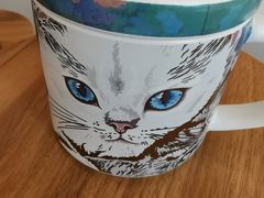 -飞行喵MR PILOT|猫舍·猫咖(静安大融城店)