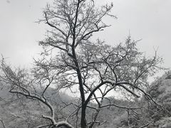 -秦岭终南山世界地质公园翠华山景区