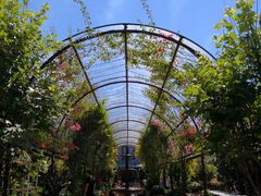 -The Grounds of Alexandria
