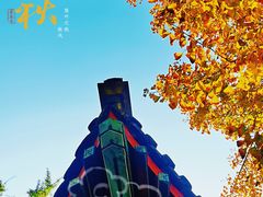 -北京石刻艺术博物馆(五塔寺)