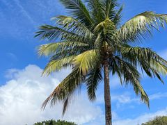 -三亚南山文化旅游区