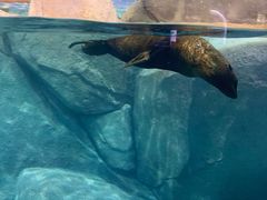 -福州罗源湾海洋世界旅游区