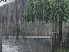 -北京大学第一医院(西城厂桥院区)