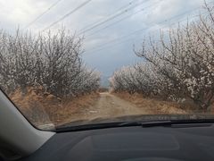 -怀来官厅水库