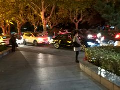 -花港海航度假酒店·中餐厅