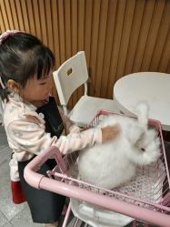 -萌兔星空蹦床撸兔馆
