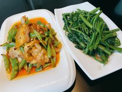 -陈麻婆豆腐总店