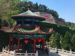 -龙口南山旅游景区