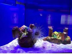 -上海海洋水族馆