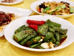 虎皮尖椒-姚林轩
