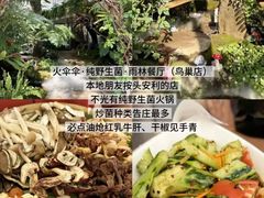 -西双版纳原始森林公园