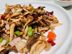 美极菌菇-蝶园·装修中(BFC外滩金融中心店)