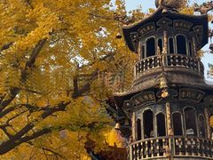 -遵化市禅林寺古银杏风景园