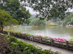 -广州市帽峰山景区
